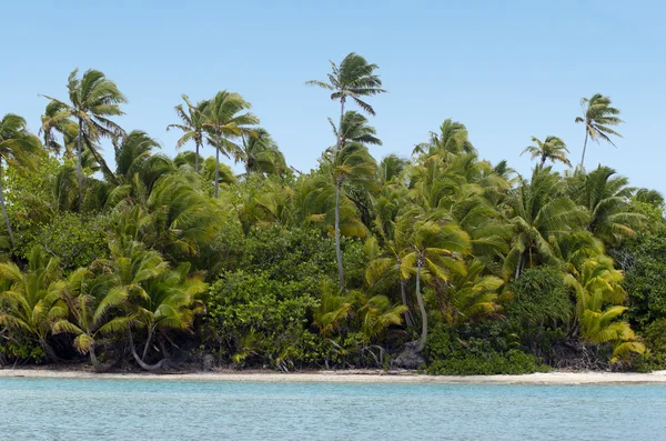 Aitutaki lagün cook Adaları — Stok fotoğraf