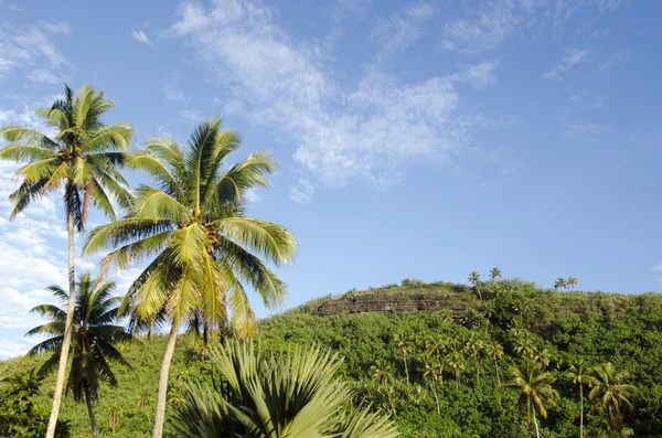 Aitutaki Lagoon Cook Islands — Stock Photo, Image