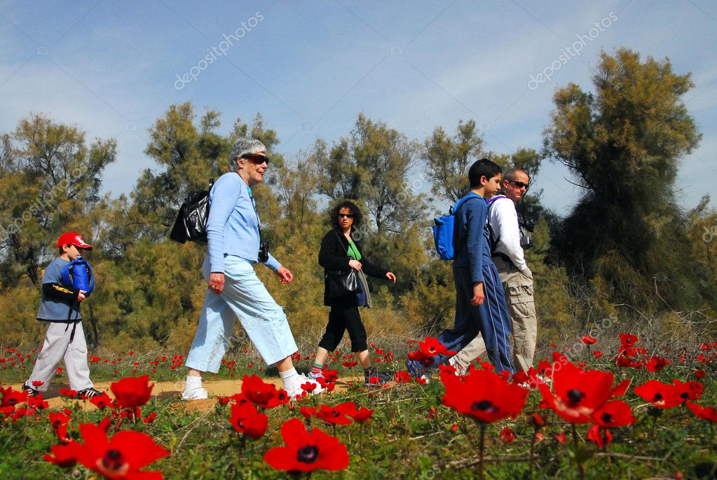 Israel flor nacional fotos de stock, imágenes de Israel flor nacional sin royalties | Depositphotos Israel flor nacional fotos de stock, imágenes de Israel flor nacional sin royalties | Depositphotos