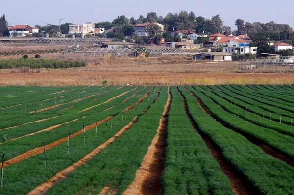 Moshav in Israele — Foto Stock