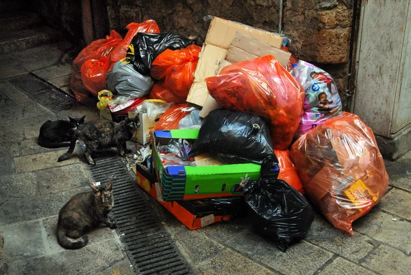 Bolsas de basura — Foto de Stock