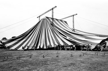 medrano sirki - cirque medrano