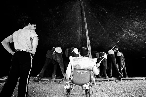 Cirkus medrano - cirque medrano — Stockfoto