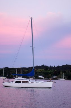 yelkende Bay Adaları, Yeni Zelanda