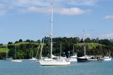 Opua marina Bay Adaları, Yeni Zelanda
