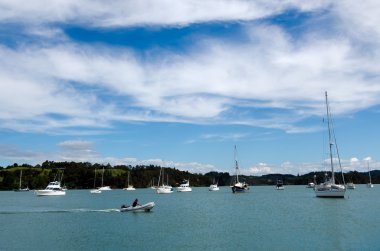 Opua marina Bay Adaları, Yeni Zelanda