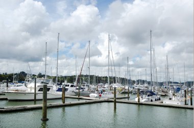 Opua marina Bay Adaları, Yeni Zelanda