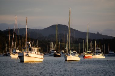 Opua marina Bay Adaları, Yeni Zelanda