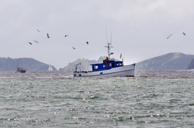 adalar Yeni Zelanda Koyu'nda balıkçı teknesi