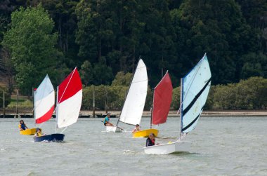Small sailng boats clipart