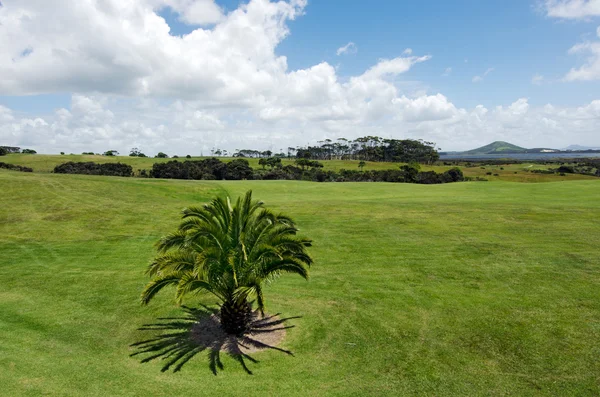 Karikari півострів Уїльяма Нової Зеландії — стокове фото