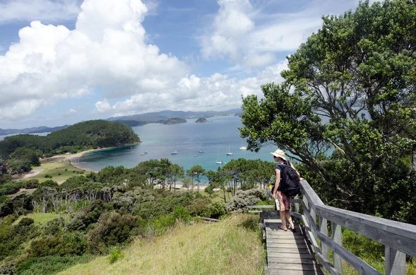 Bahía de la Isla Nueva Zelanda - Isla Roberton —  Fotos de Stock