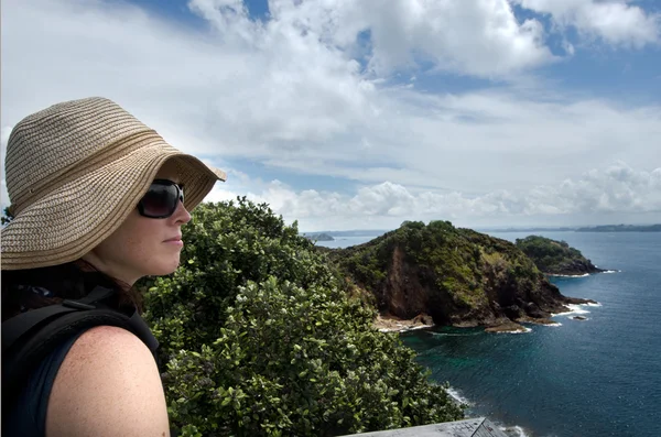 Bahía de la Isla Nueva Zelanda - Isla Roberton —  Fotos de Stock