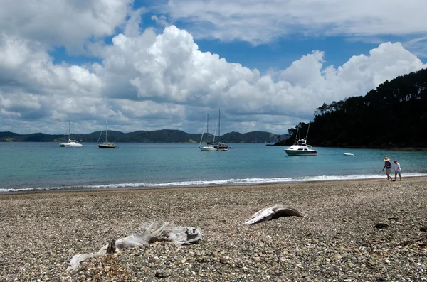 Bahía de la Isla Nueva Zelanda - Isla Roberton — Foto de Stock