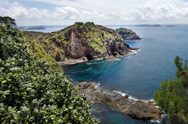 Bay of Island New Zealand - Roberton Island — Stock Photo, Image