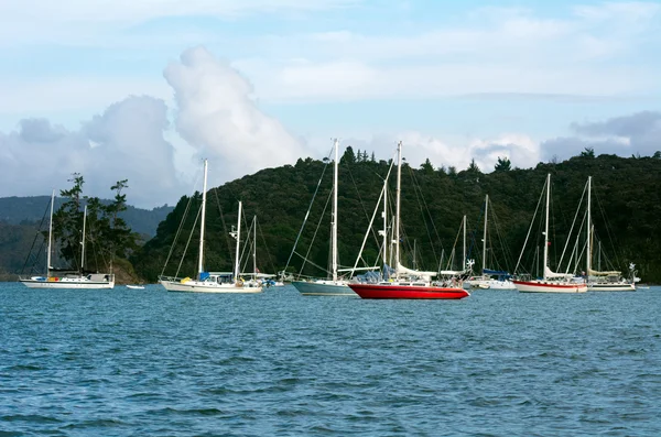 オプア マリーナ島ニュージーランドの湾で — ストック写真