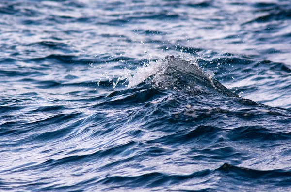 Spray fale oceanu mały — Zdjęcie stockowe