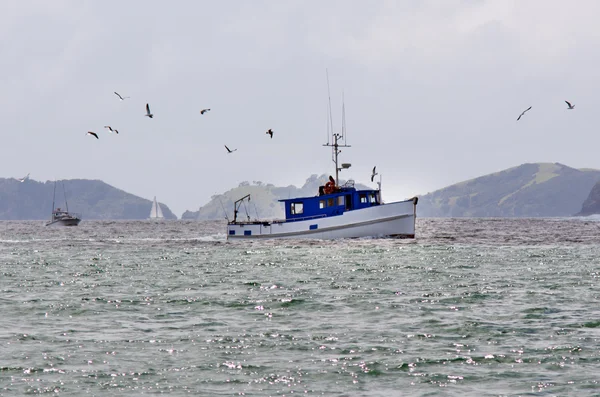 Barco de pesca en la Bahía de las Islas Nueva Zelanda — Foto de Stock