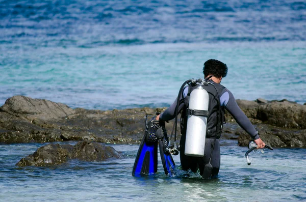 Diving in Karikari Peninsula New Zealand — Stock Photo, Image