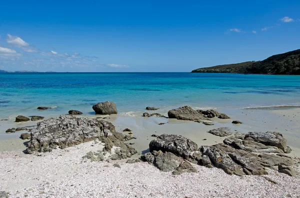 Landschaft der Karikari-Halbinsel Neuseeland — Stockfoto