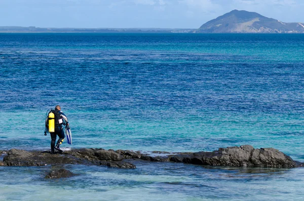 Dykning i karikari halvön Nya Zeeland — Stockfoto