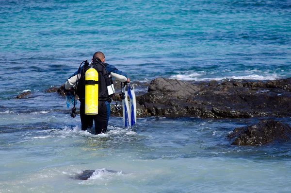 Diving in Karikari Peninsula New Zealand — Stock Photo, Image