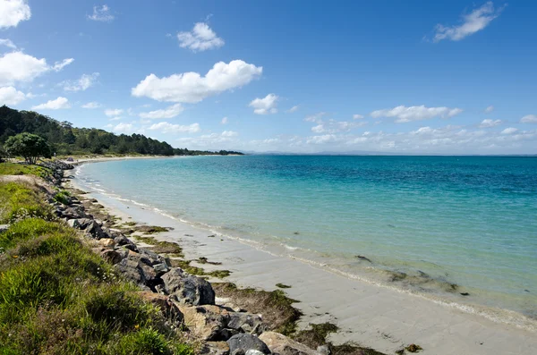 Krajobraz z karikari półwyspu Nowa Zelandia — Zdjęcie stockowe