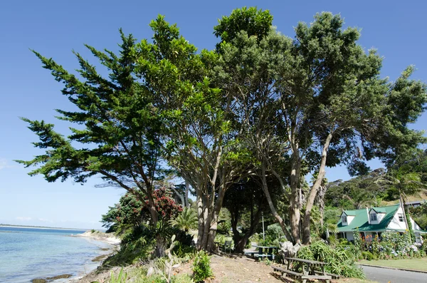 カリカリ半島のニュージーランドの風景 — ストック写真
