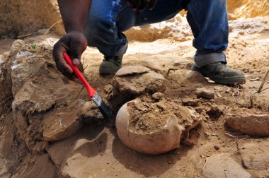 Archaeologist excavating Human Skull clipart