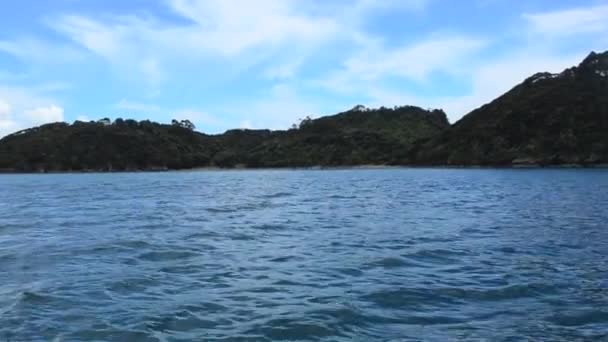 Roberton Island — Stock Video