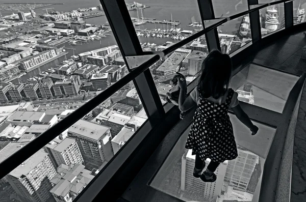 奥克兰城市景观 — — 天空塔 — 图库照片