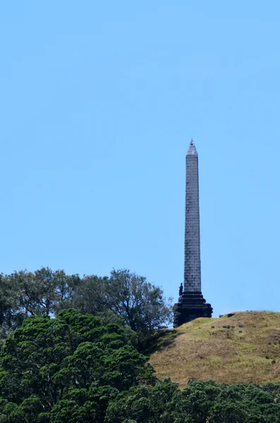 Auckland cityscape - ein baumhügel — Stockfoto