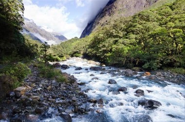 Fiordland - Yeni Zelanda