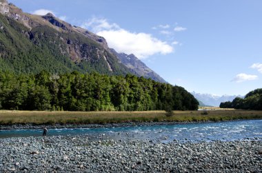 balıkçı sineği balık Fiordland içinde