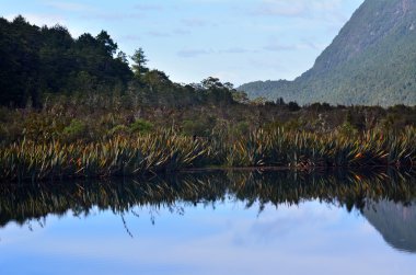 Fiordland - Yeni Zelanda