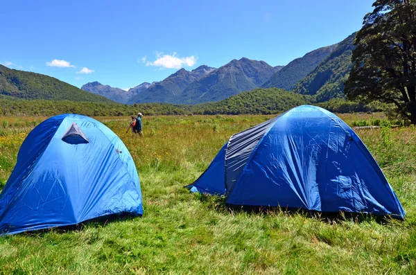 Fiordland - homer tunnel — Stockfoto