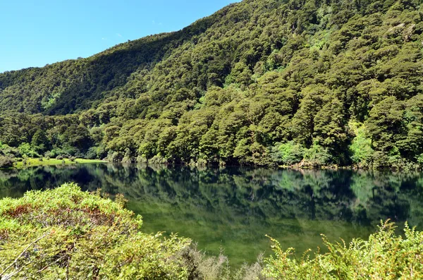 Fiordland - Νέα Ζηλανδία — Φωτογραφία Αρχείου