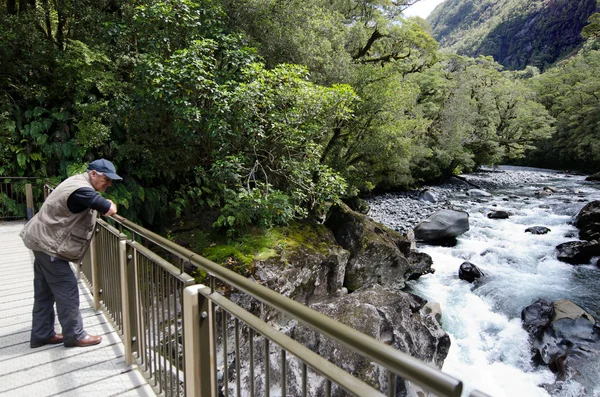 Fiordland - Nový Zéland — Stock fotografie