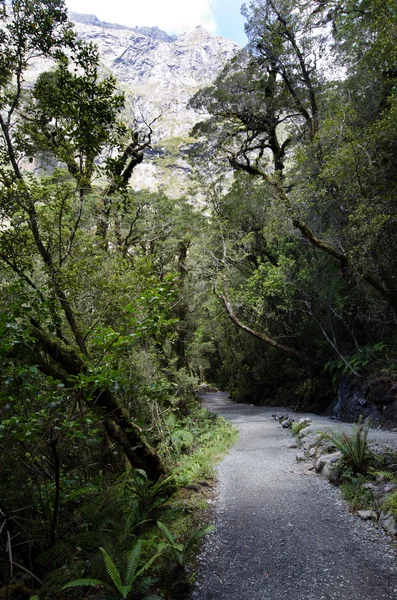 Fiordland - Nueva Zelanda —  Fotos de Stock