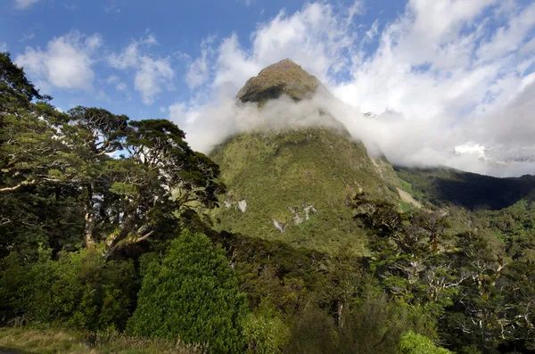 Fiordland - Nuova Zelanda — Foto Stock