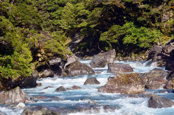 Fiordland - Nový Zéland — Stock fotografie