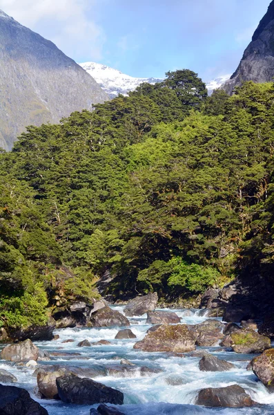 Fiordland - Nueva Zelanda — Foto de Stock