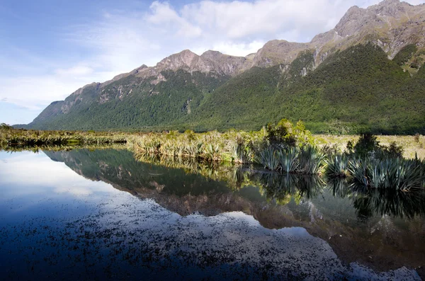 Fiordland - Nova Zelândia — Fotografia de Stock
