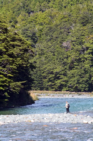 Pesca com mosca de pescador em Fiordland — Fotografia de Stock