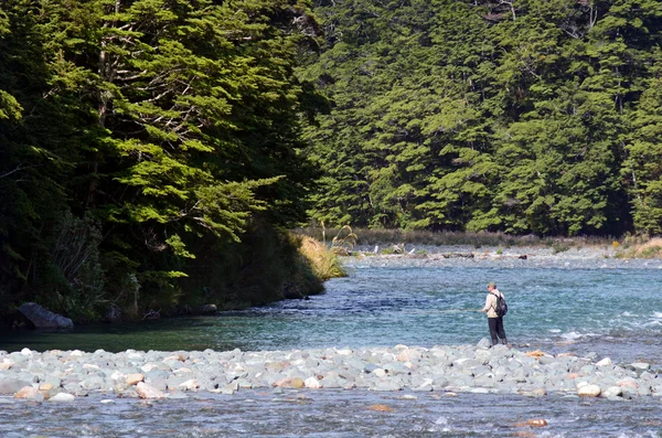 Pesca con mosca en Fiordland — Foto de Stock