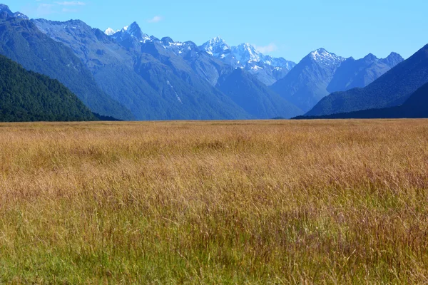 Fiordland - Νέα Ζηλανδία — Φωτογραφία Αρχείου