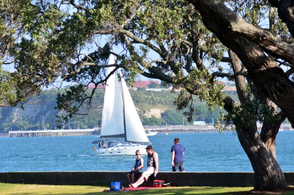 Devonport - New Zealand — Stock Photo, Image