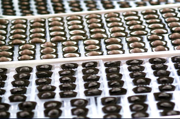 Chocolate balls — Stock Photo, Image