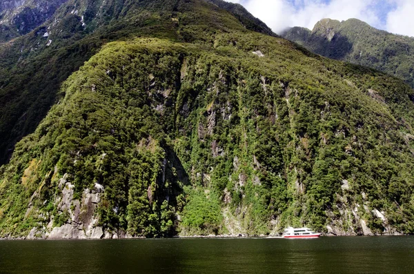 Milford ses - Yeni Zelanda — Stok fotoğraf