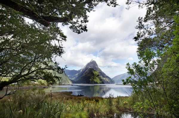 Milford ses - Yeni Zelanda — Stok fotoğraf